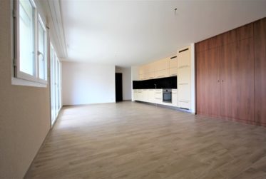 Superbe appartement de 2.5 pièces au 1er étage (A1.1.1)