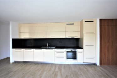 Superbe appartement de 2.5 pièces au 1er étage (A1.1.1)