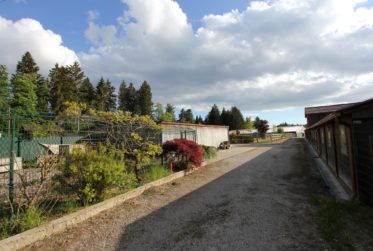 Manège, centre de loisirs aux espaces exceptionnels–fort potentiel !