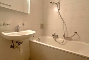 Belle vue dans un charmant appartement rénové de 4.5 pièces au 1er étage