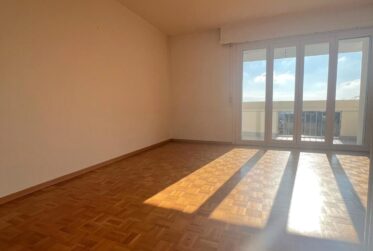 Belle vue dans un charmant appartement rénové de 4.5 pièces au 1er étage