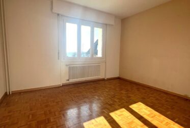 Belle vue dans un charmant appartement rénové de 4.5 pièces au 1er étage